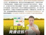 全网曝光！200万粉网红诋毁袁隆平编造吃杂交水稻无法生育抖音永久封禁！