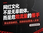 别洗了！网红文化本就是危险行为的流量帮凶